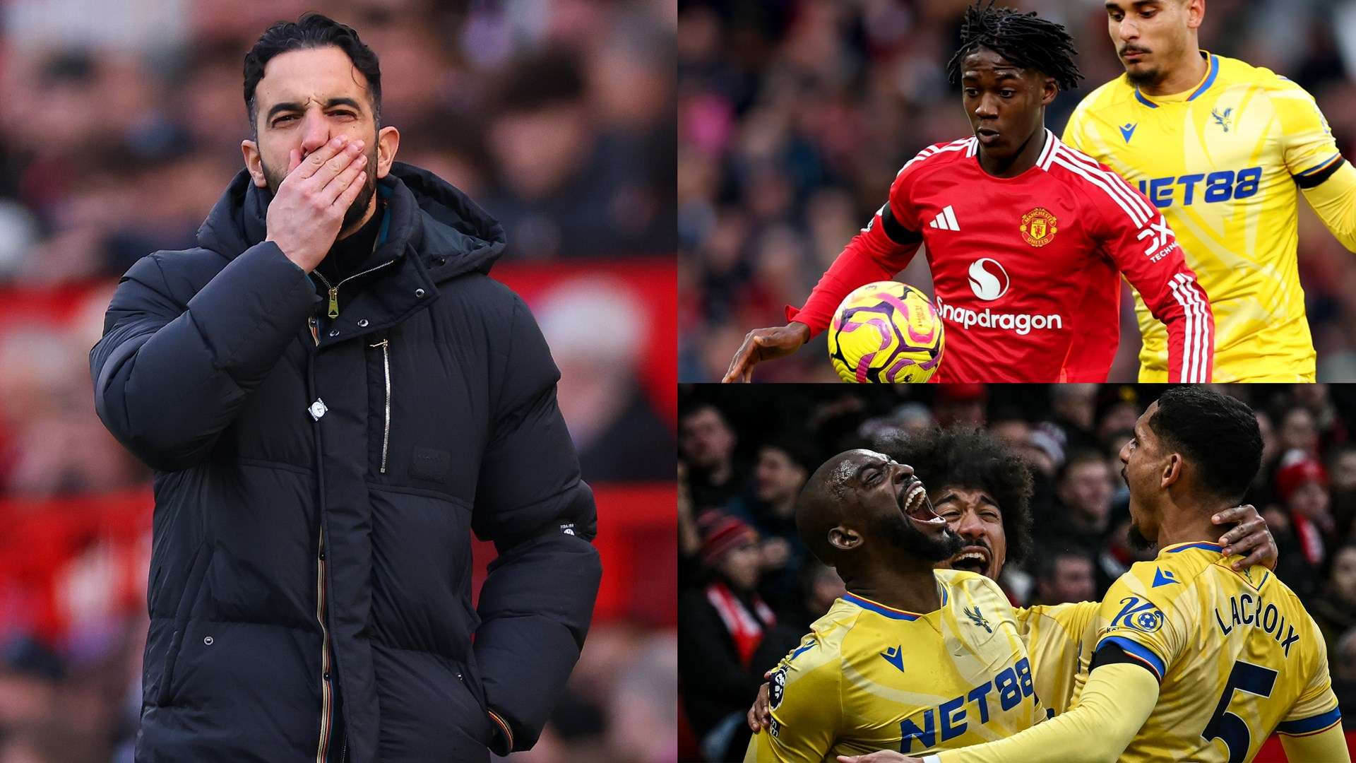 廷的战术灵 廷的战术灵