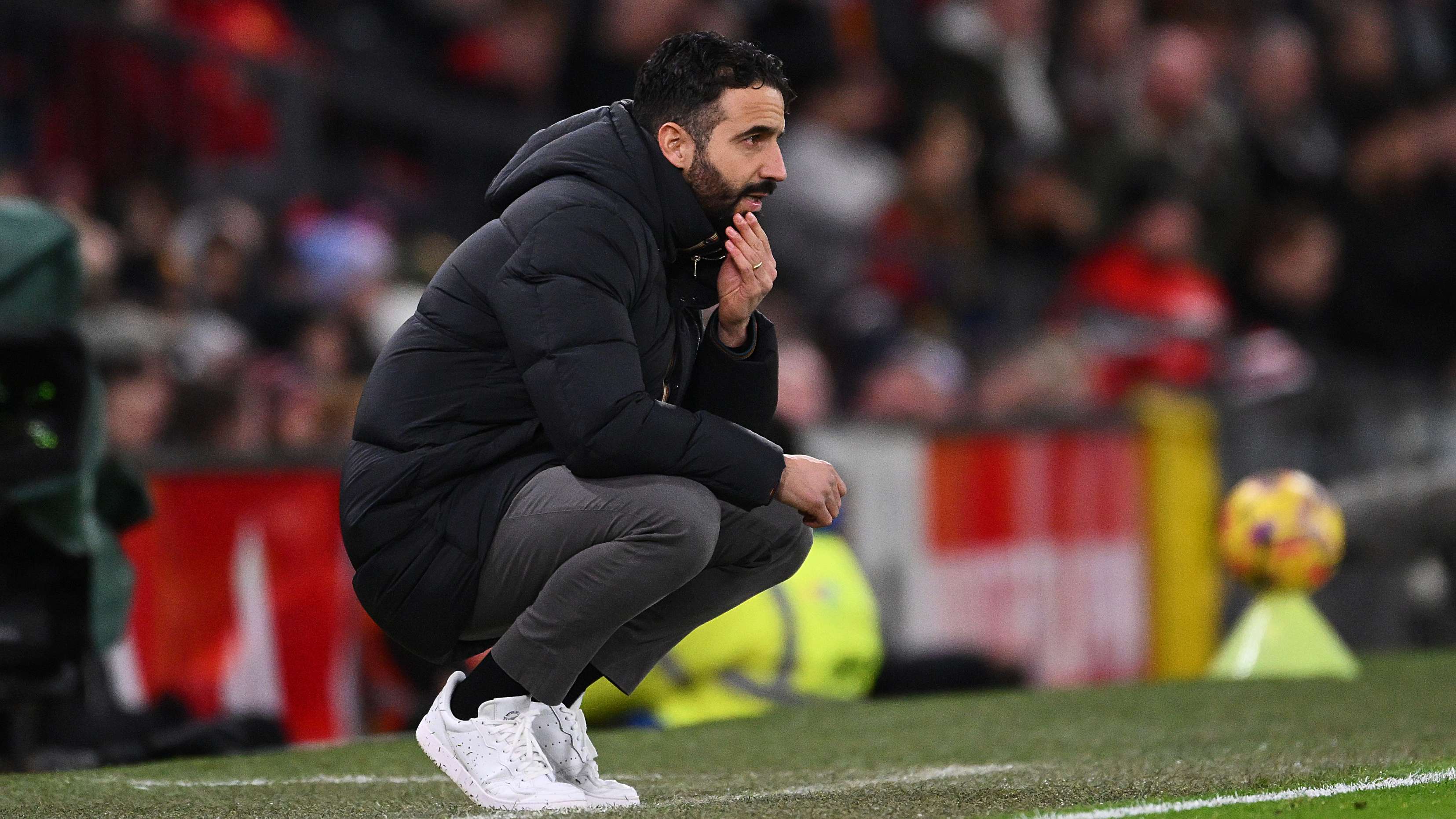 合理的营养 合理的营养